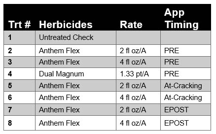 Anthem Flex Tolerance in Peanut Graphic 1