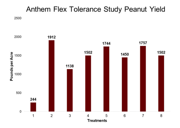 Anthem Flex Tolerance in Peanut Graphic 2