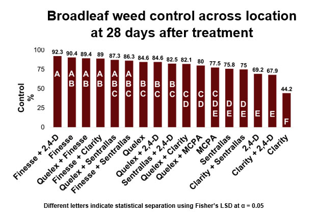 Cutleaf Evening Primrose and Winter Annual Broadleaf Control Programs for Wheat Graphic 2